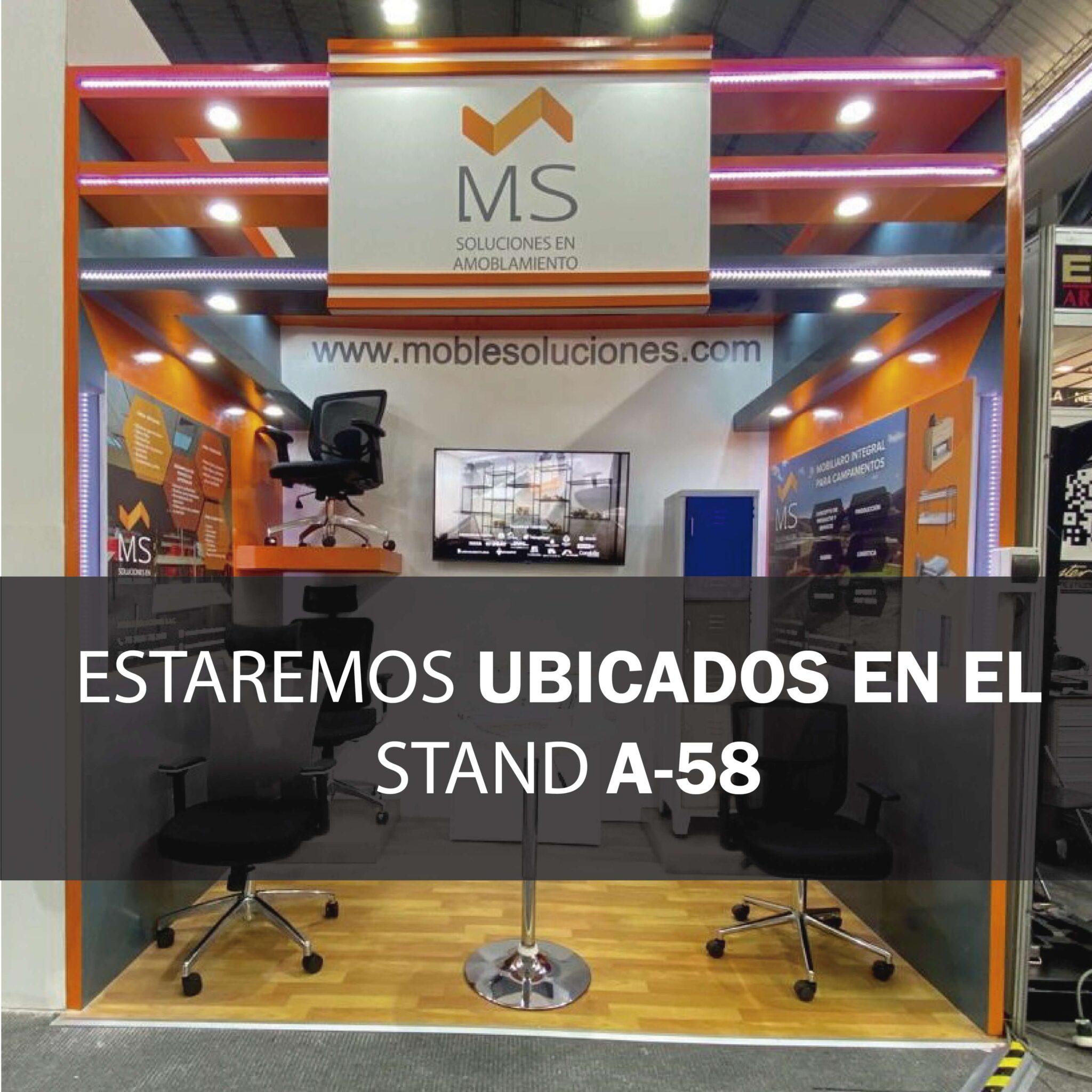 Para web_Mesa de trabajo 1 copia (1)