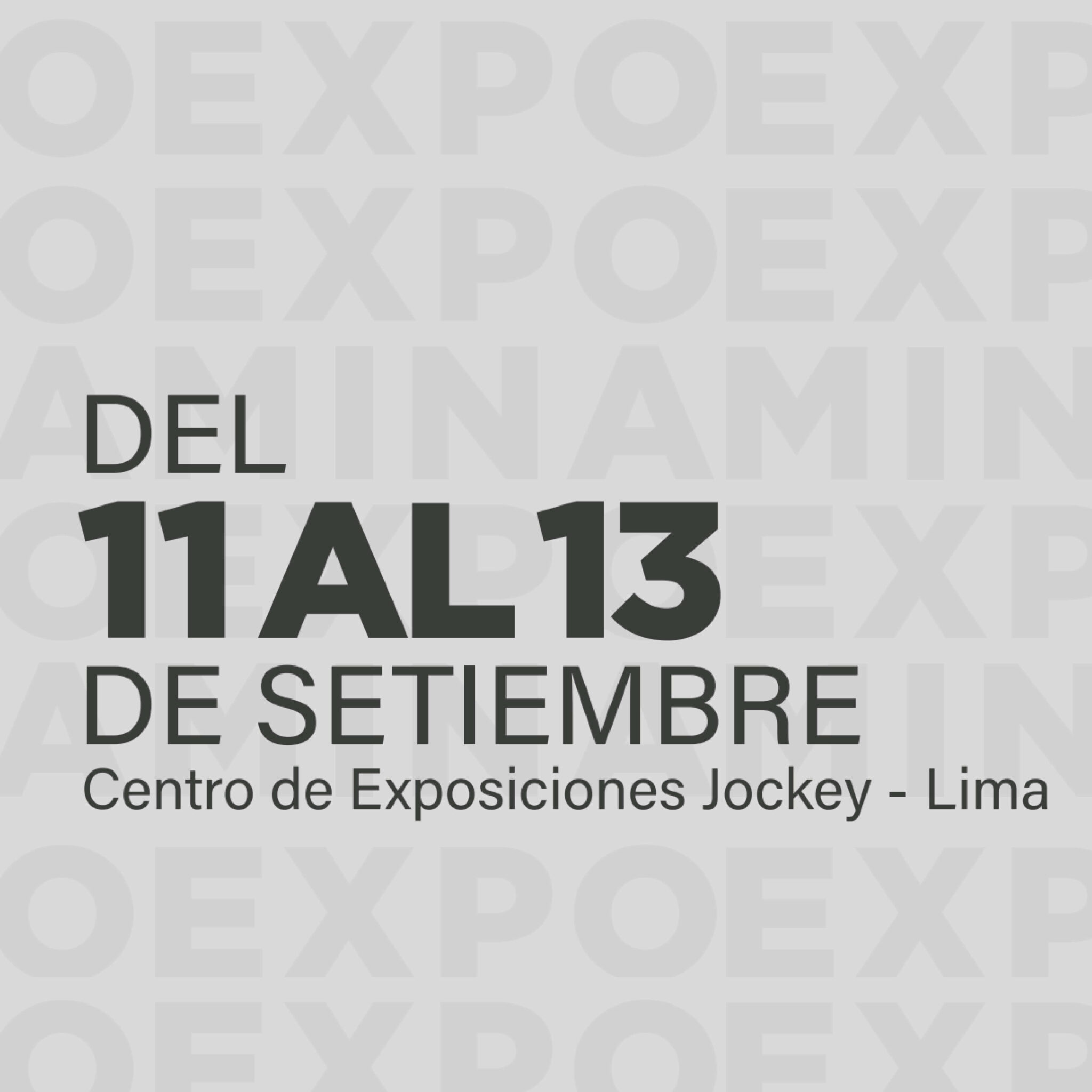 Para web_Mesa de trabajo 1 copia 2